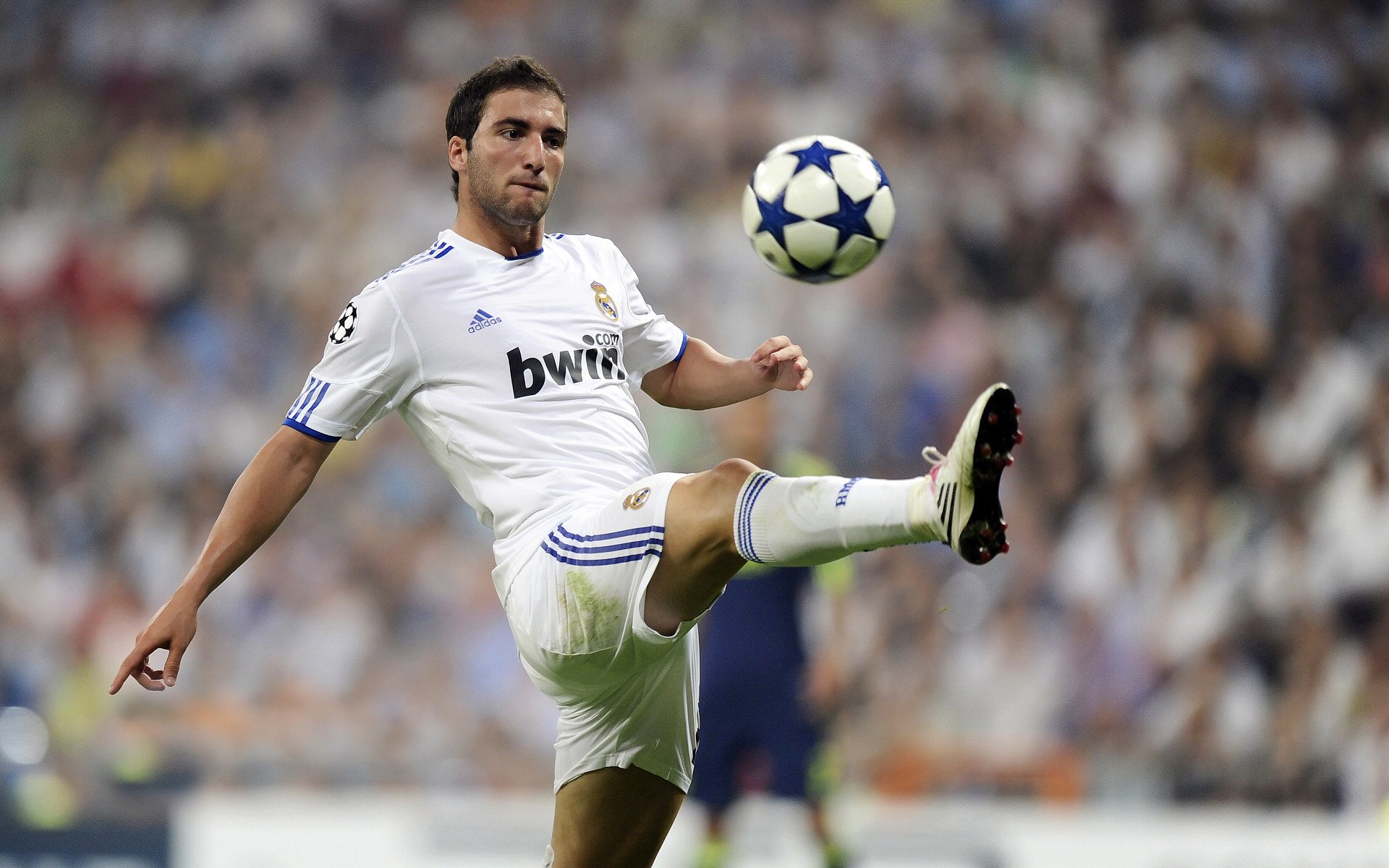 “帕布罗·马特拉的全能技能与领导魅力,帮助美洲狮队走向未来”